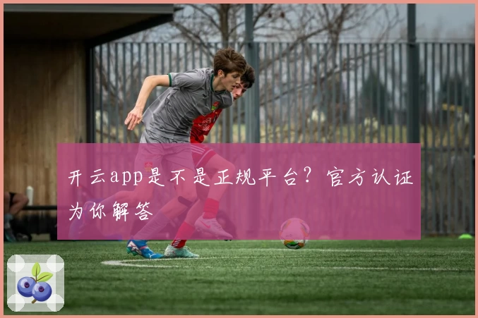 开云app是不是正规平台？官方认证为你解答