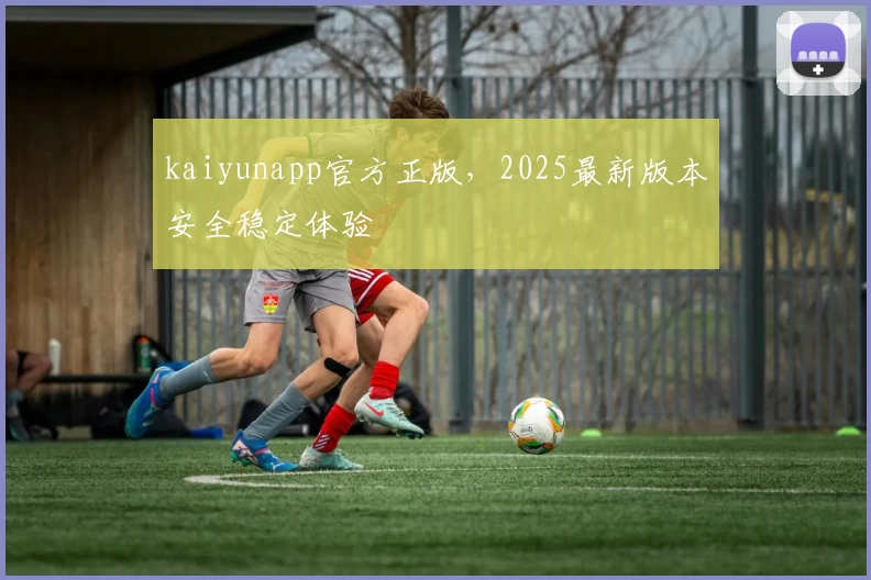 kaiyunapp官方正版，2025最新版本安全稳定体验