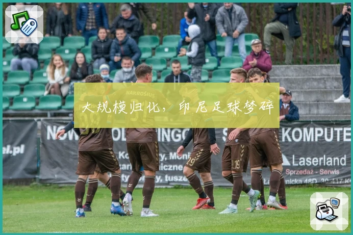 大规模归化，印尼足球梦碎