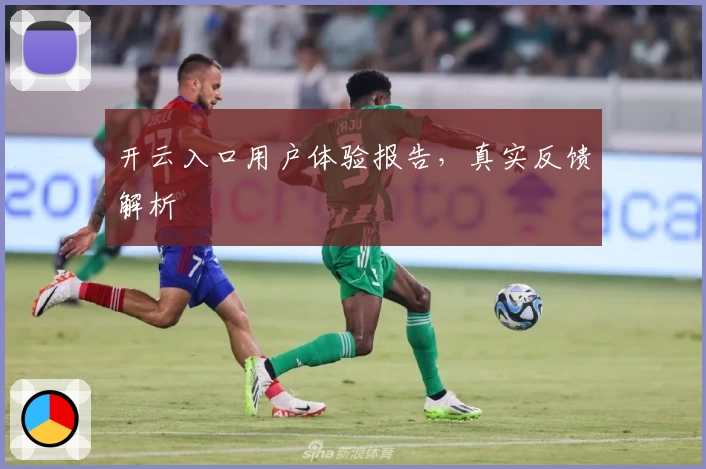 开云入口用户体验报告，真实反馈解析