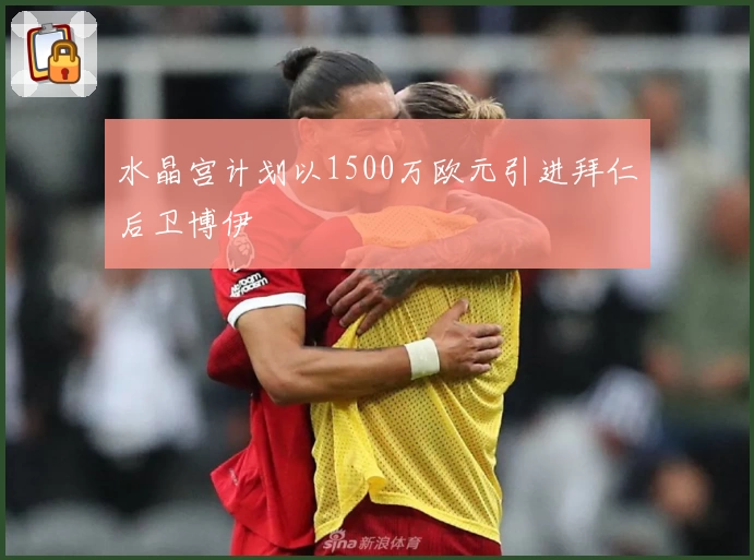 水晶宫计划以1500万欧元引进拜仁后卫博伊