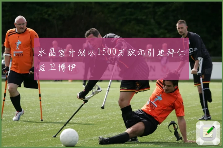 水晶宫计划以1500万欧元引进拜仁后卫博伊