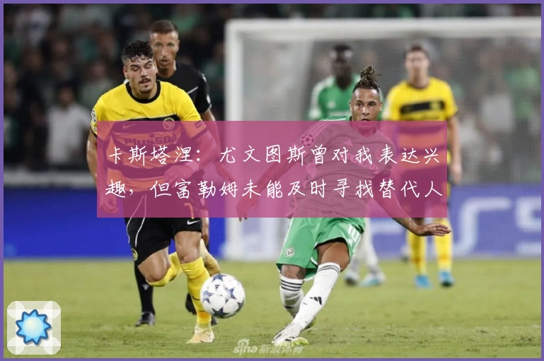 卡斯塔涅：尤文图斯曾对我表达兴趣，但富勒姆未能及时寻找替代人选